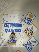 ESTUDANDO AS PALAVRAS