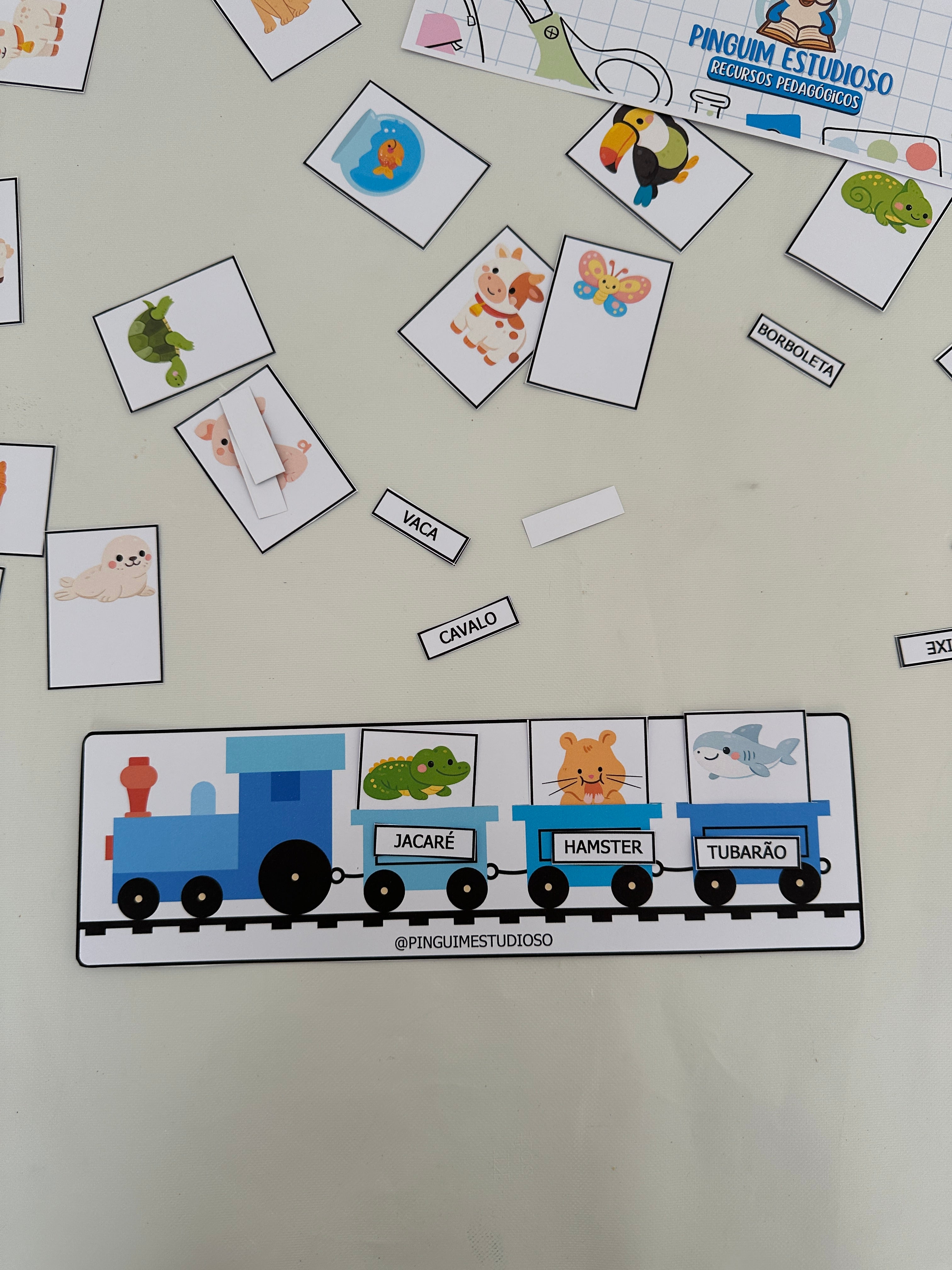 Trem das Palavras